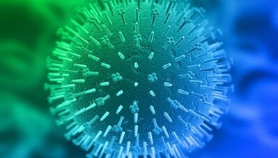 căi de infectare cu papilomavirus uman