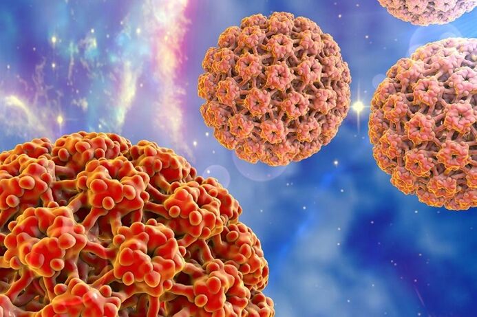molecula de papilomavirus uman